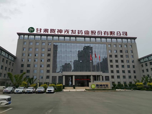<b>甘肃陇神戎发药业办公楼</b>